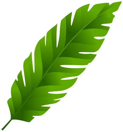 leaf clipart|leaf images free.